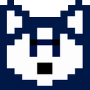 navyhuskie avatar