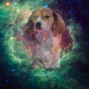 nebulapuppies avatar