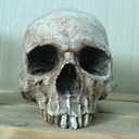 necroscope13-blog avatar