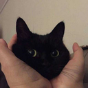 nediyonbaabisi avatar