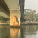 needtobereading avatar