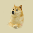 nefarious-cat avatar