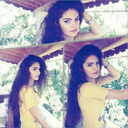 nefesgibisinn avatar