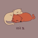 neiljostensracooninstinct avatar