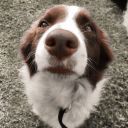 nellie-nelson-1246 avatar