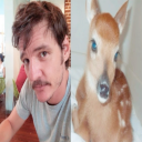 nerdgirlbutinpink avatar