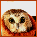 nerdlytreasure avatar