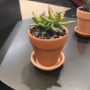 nerdy-my-dude avatar