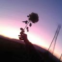 nerdypostsuit avatar