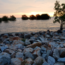 nerdyspykidhoagie-blog avatar