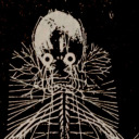 nervesofcupid avatar