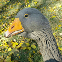 nessie-crochet avatar