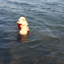 nettavaldez-me avatar