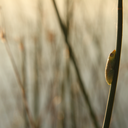 neuroticinfinity avatar