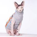 neuteredsphynx avatar