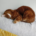 neutral-sleepy avatar