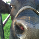 neutralroyalty avatar