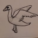 never-hydrated avatar