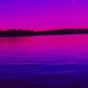 neverland7native avatar