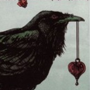 neveroptions-blog-blog avatar