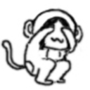 new-ship-blog avatar