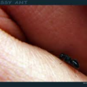 newlyturnedlesbian-blog avatar