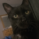 nexuscreation avatar