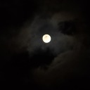 nexuswheritbegan avatar