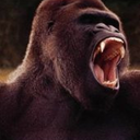 nfinitefreetime avatar