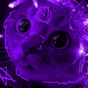 nibblesofkibble avatar