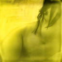 nicowestlicht avatar