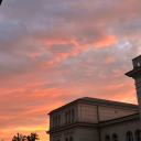 niewiederkeinalkohol avatar