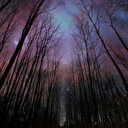 night-morning avatar