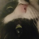 nighthunter0418 avatar