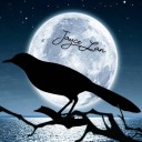 nightingaleofthemoonlight avatar