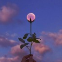 nightly-boodew avatar