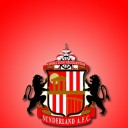 nightmare-raven-ashes avatar