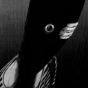 nightnight-punpun avatar