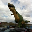 nimashkawizii avatar