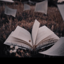 ninjapiratelady avatar