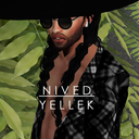 nivedyellekimvu avatar