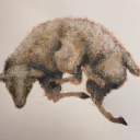 no-i-can-not-shut-up avatar