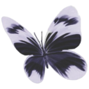 nobodysuspectsthebutterfly avatar