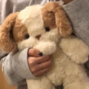 nobraincollie avatar