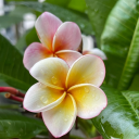 nodarknessallowed avatar