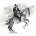 nohorsesonthedancefloor avatar