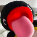 nokiaphone237 avatar