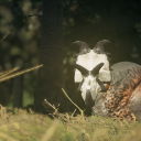 nokiaspinosaurus avatar