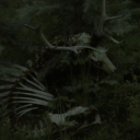 non-binarywitchchild avatar