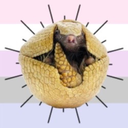 nonbinaryicon avatar